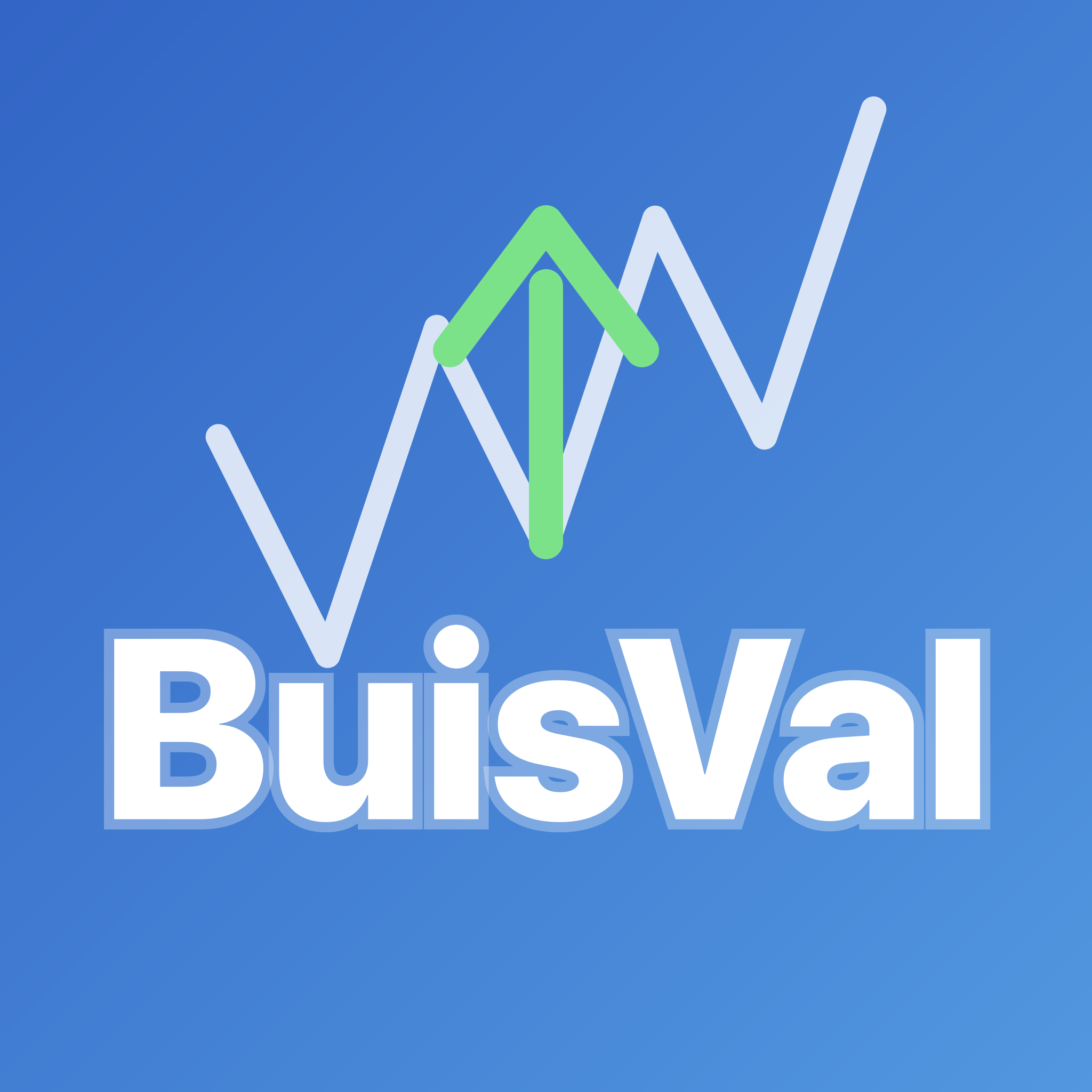 BizVal App Preview